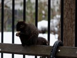 DSC_0117.jpg