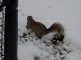 DSC_0127.jpg