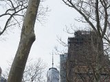 DSC_0131.jpg
