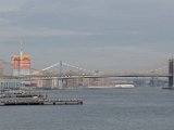 DSC_0152.jpg