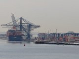 DSC_0177.jpg