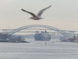 DSC_0186.jpg