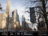 DSC_0222.jpg