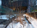 DSC_0242.jpg