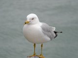 DSC_0107.jpg