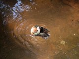 DSC_0152.jpg