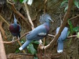 DSC_0154.jpg