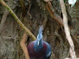 DSC_0157.jpg