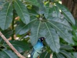 DSC_0165.jpg