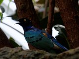DSC_0167.jpg