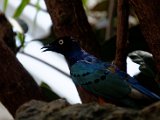 DSC_0169.jpg