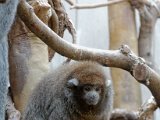 DSC_0172.jpg