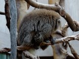 DSC_0173.jpg