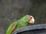 DSC_0174.jpg