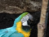 DSC_0178.jpg