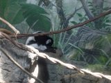 DSC_0179.jpg
