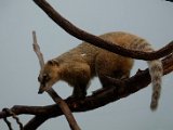 DSC_0181.jpg