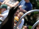 DSC_0195.jpg