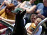 DSC_0196.jpg