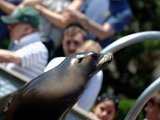 DSC_0197.jpg