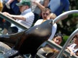 DSC_0198.jpg