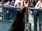 DSC_0208.jpg