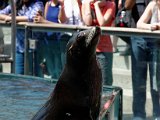 DSC_0209.jpg