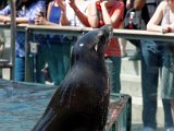 DSC_0210.jpg