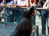 DSC_0211.jpg