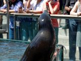 DSC_0212.jpg