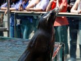 DSC_0213.jpg