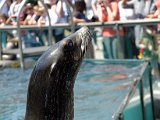 DSC_0221.jpg