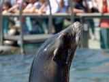 DSC_0222.jpg