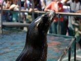 DSC_0224.jpg