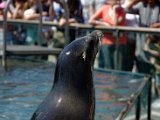 DSC_0225.jpg