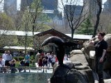 DSC_0231.jpg