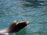 DSC_0232.jpg