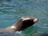 DSC_0234.jpg