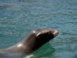 DSC_0235.jpg