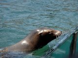 DSC_0236.jpg