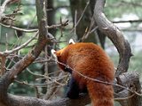 DSC_0262.jpg