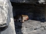 DSC_0266.jpg