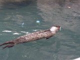 DSC_0268.jpg