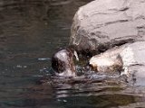 DSC_0270.jpg
