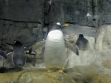 DSC_0273.jpg