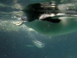DSC_0277.jpg