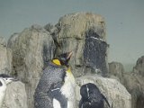 DSC_0280.jpg