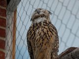 DSC_0282.jpg