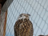 DSC_0283.jpg