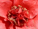 DSC_0284.jpg